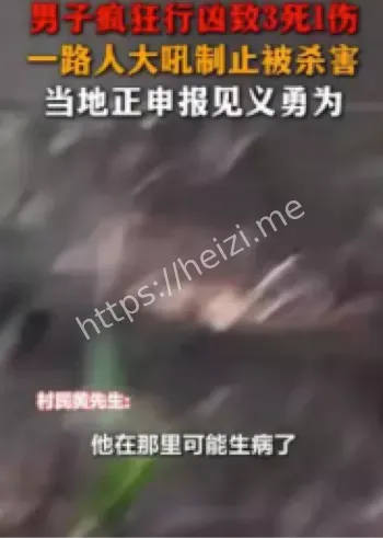 湖南东安持刀伤人案